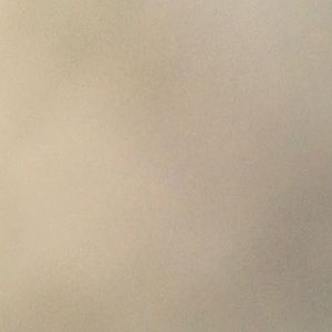 Meet your Posher, Leo